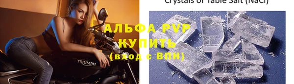 прущие грибы Инсар