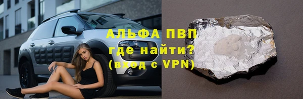 прущие грибы Инсар