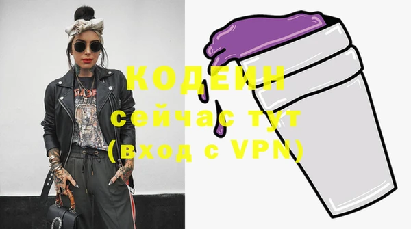 прущие грибы Инсар