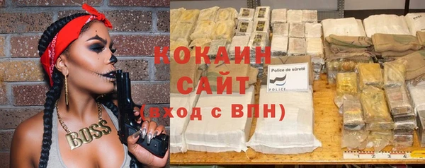 прущие грибы Инсар