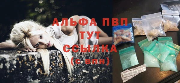 прущие грибы Инсар