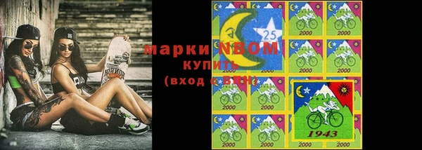 прущие грибы Инсар