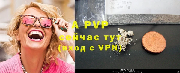 прущие грибы Инсар