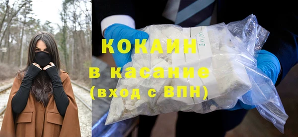 прущие грибы Инсар