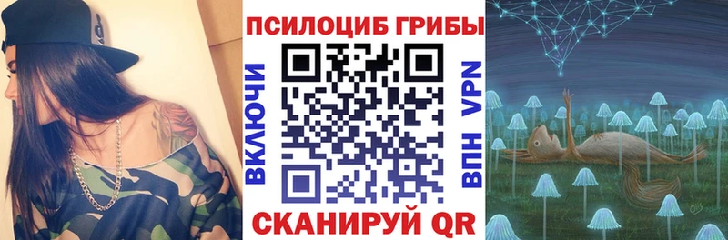 Купить закладки  Лахденпохья  Галлюциногенные грибы мицелий 